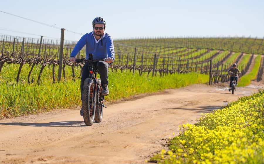 Half-Day Winelands E-Bike Tour with Wine Tasting - From Cape Town to the vineyards