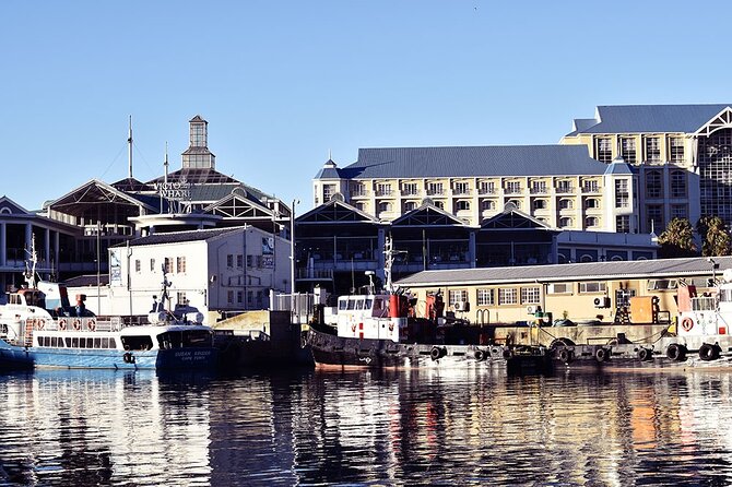 Half Hour Seal and Harbour Cruise from Cape Town - Weather, comfort, and the best way to prepare
