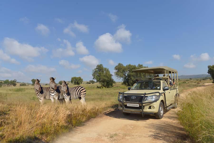 Hartbeespoort: Lion and Safari Park Tour - Key points to know before you book