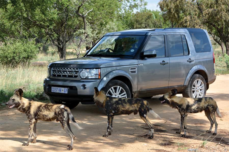 Hartbeespoort: Self-Drive Lion and Safari Park Tour - Collecting your tickets and getting started