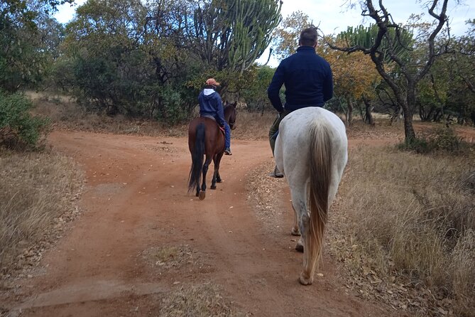 Harties Horse Trail Safari Half day - Key points to know before booking