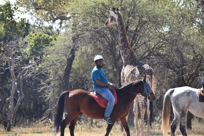 Harties Horse Trail Safari Half day - Why horseback changes the Pretoria safari experience