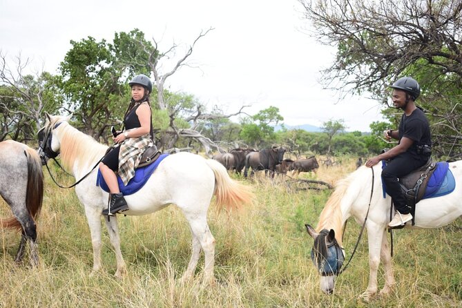 Harties Horse Trail Safari Half day - The private guide makes a real difference