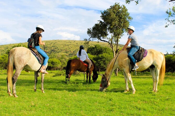 Harties Horse Trail Safari Half day - Who will enjoy this most?