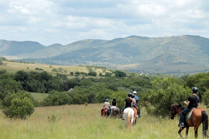 Harties Horse Trail Safari Half day - What the four-hour outing includes