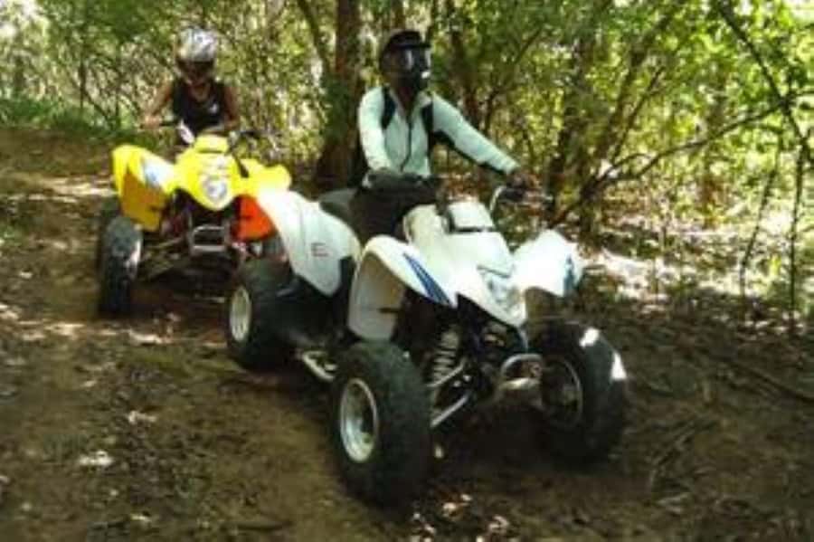 Hazyview: Guided Macadamia Plantation and Forest Quad Safari - Key points to know before you ride