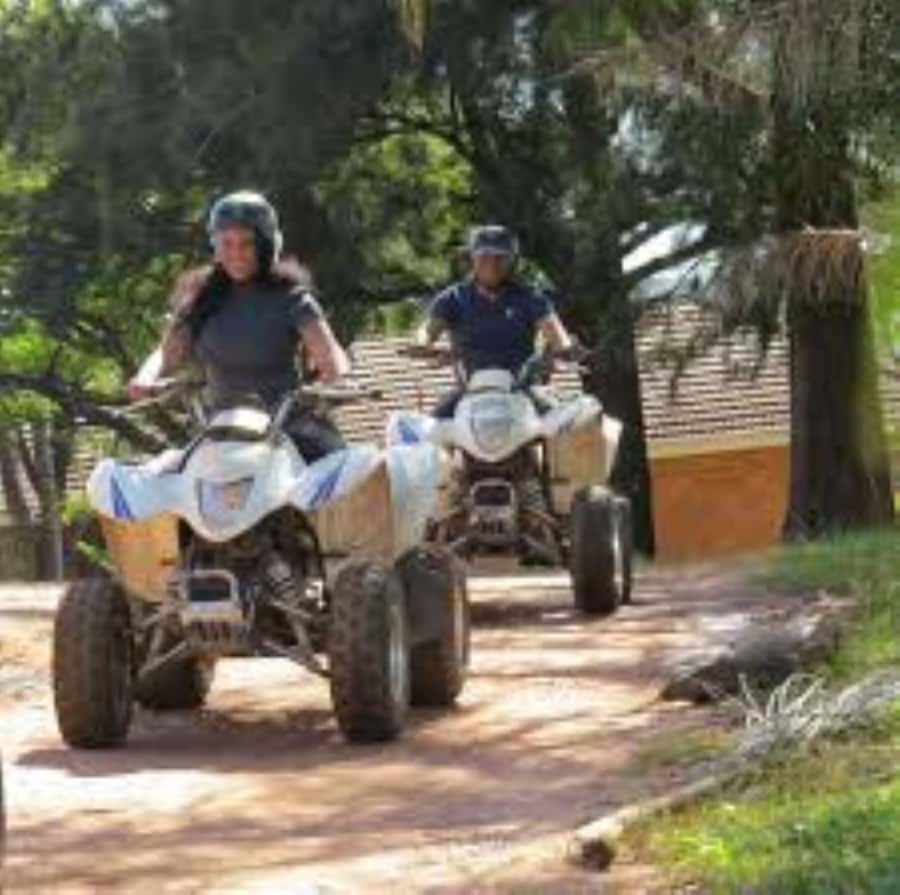 Hazyview: Guided Macadamia Plantation and Forest Quad Safari - Riding through the macadamia plantation