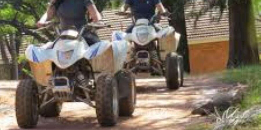 Hazyview: Guided Macadamia Plantation and Forest Quad Safari - Clothing, weather, and the practical side