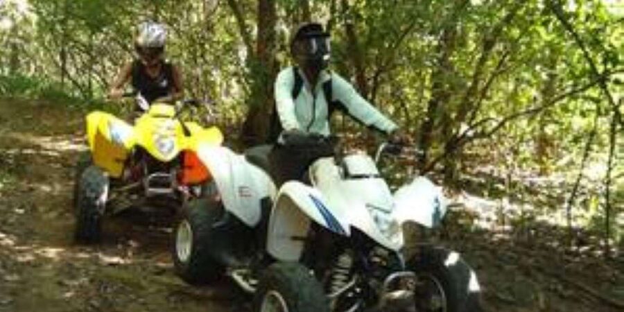 Hazyview: Guided Macadamia Plantation and Forest Quad Safari - Is $48 good value for one hour?
