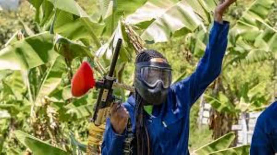 Hazyview : Paintball Target Shooting - What happens when you arrive