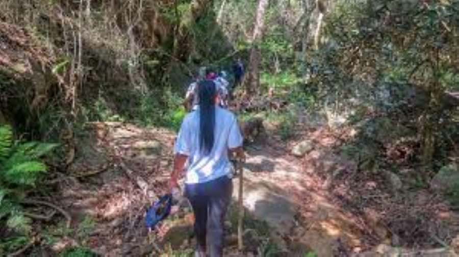 Hazyview : Sabie River Hiking Trail 12km - Starting beside the Sabie River