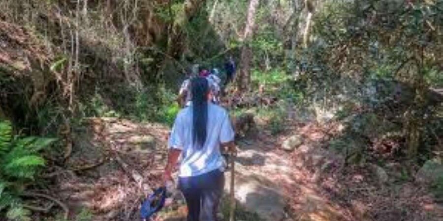 Hazyview : Sabie River Hiking Trail 12km - Cascade Waterfall and the 12km challenge