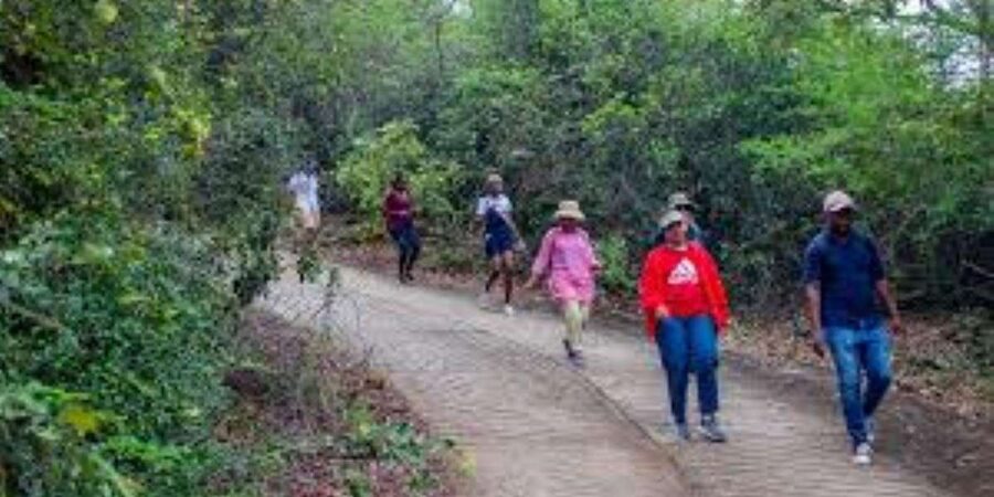 Hazyview : Sabie River Hiking Trail 12km - Practical tips for a better morning