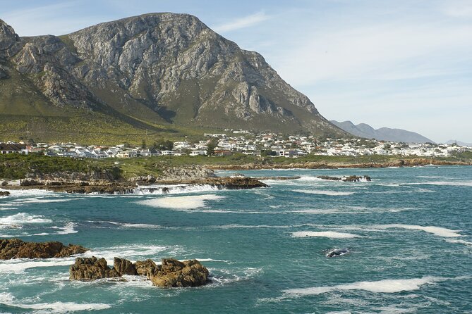 Hermanus Land based Whale Tour with Dave de Beer - Starting with southern right whales at the Whale House Museum