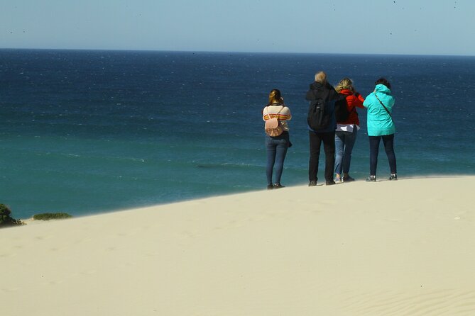Hermanus Land based Whale Tour with Dave de Beer - The value of a private whale tour at $80.81