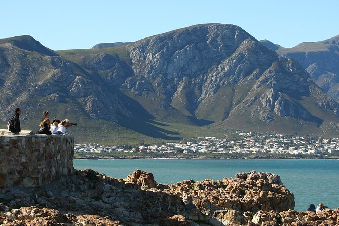Hermanus Land based Whale Tour with Dave de Beer - Two hours along the Hermanus cliff path