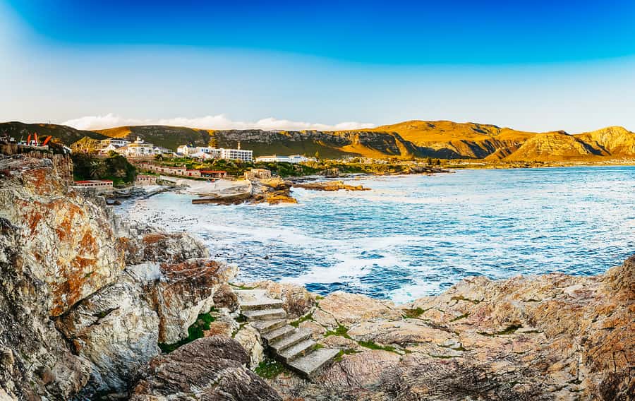Hermanus: Whale and Dolphin Watching Boat Trip - Refreshments and optional video
