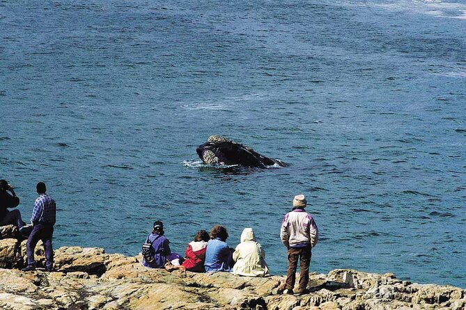 Hermanus Whale Watching and Wine Tasting Private Tour - The 5:30 a.m. start and Sir Lowry’s Pass