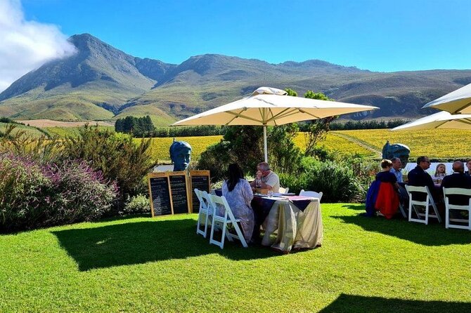 Hermanus Whale Watching and Wine Tasting Private Tour - The Clarence Drive return to Cape Town