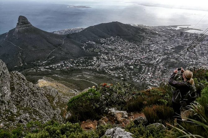 Hike Table Mountain with a Guide - Choose Route - What the morning actually feels like