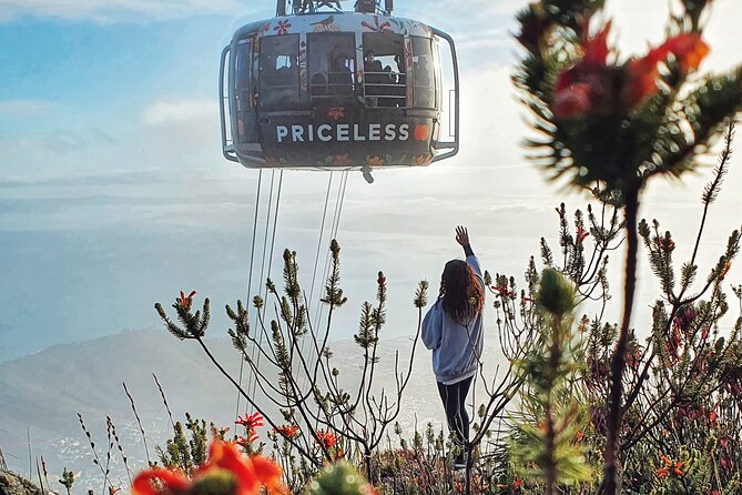 Hike Table Mountain with a Guide - Choose Route - Guides who make the difference