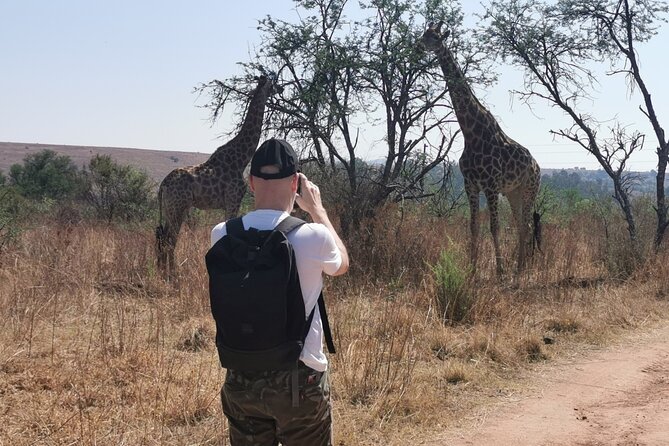 Hiking In the Magaliesberg,Wildlife hike an hour fromJohannesburg - Key points for deciding quickly