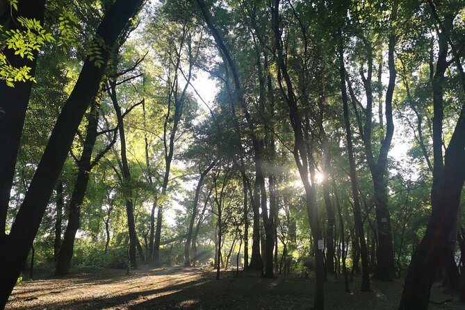 Hiking In the Magaliesberg,Wildlife hike an hour fromJohannesburg - Wildlife on foot, with a sensible approach