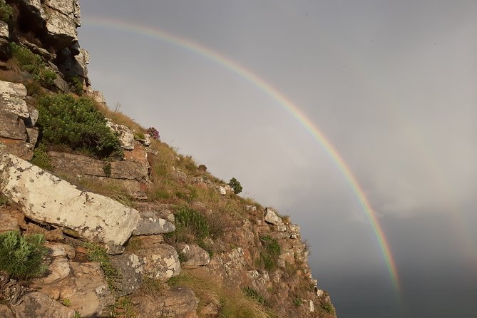 Hiking Lion's Head for sunrise, coffee & hotel Pick-up & Drop off - Small group size and guide support