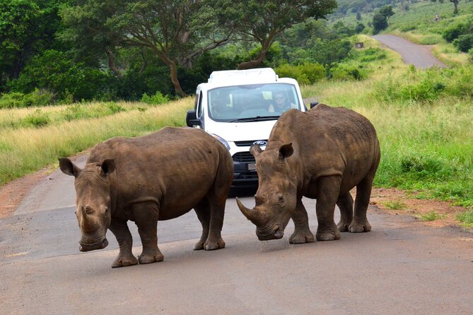 Hluhluwe and Imfolozi Safari Day Tour from Richards Bay - Key points to know before booking