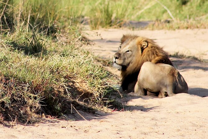 Hluhluwe Game Drive - Half day - Meeting your guide at Memorial Gate