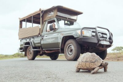 Hluhluwe Game Drive – Half day