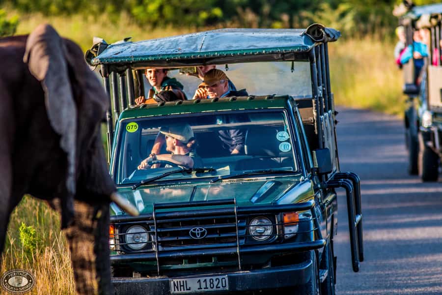 Hluhluwe-Imfolozi: Big 5 Full or Half-Day Safari - Why Hluhluwe-Imfolozi Park is worth your time