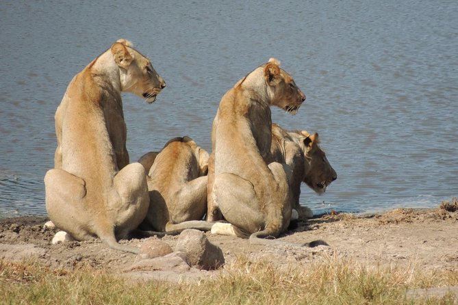 Hluhluwe/iMfolozi Game Reserve Full Day Game Drive - The 5:00 AM departure from Richards Bay