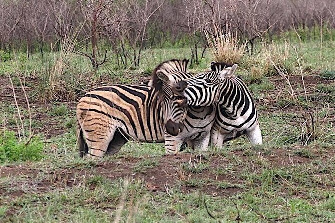 Hluhluwe Imfolozi Park And Isimangaliso Wetlands Park .st Lucia - Is the $225.48 price good value?