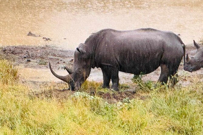 Hluhluwe Imfolozi Park Excursion - Leaving Richards Bay at 8:00 am