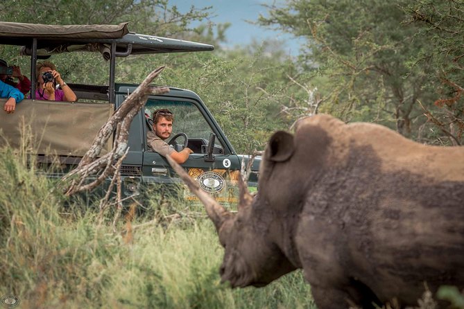 Hluhluwe-Imfolozi Park Full Day Big 5 Safari Tour - Key points to know before booking