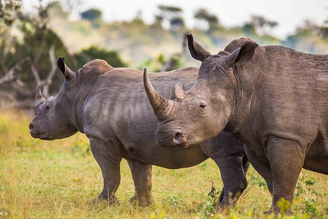 Hluhluwe-Imfolozi Park Full Day Big 5 Safari Tour - Why the early start from St Lucia matters