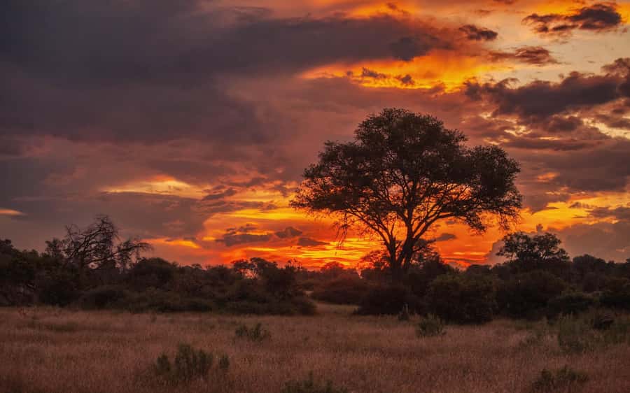Hluhluwe-iMfolozi Park - Open Safari Vehicle Game Drives - Why Hluhluwe-iMfolozi Is Worth Your Safari Time