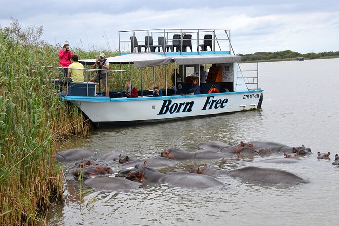 Hluhluwe Imfolozi Safari & St Lucia Boat Safari Day Tour from Durban - A slow two-hour cruise on the St Lucia estuary