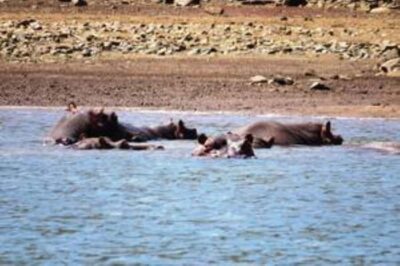 Blyde River Canyon Dam Boat Cruise