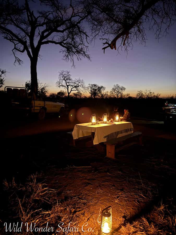 Hoedspruit: Dinner in the Bush & Safari Game Drive - Why this Hoedspruit evening works so well