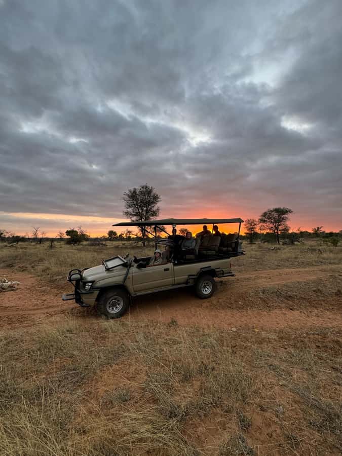 Hoedspruit: Dinner in the Bush & Safari Game Drive - The wildlife search before sunset