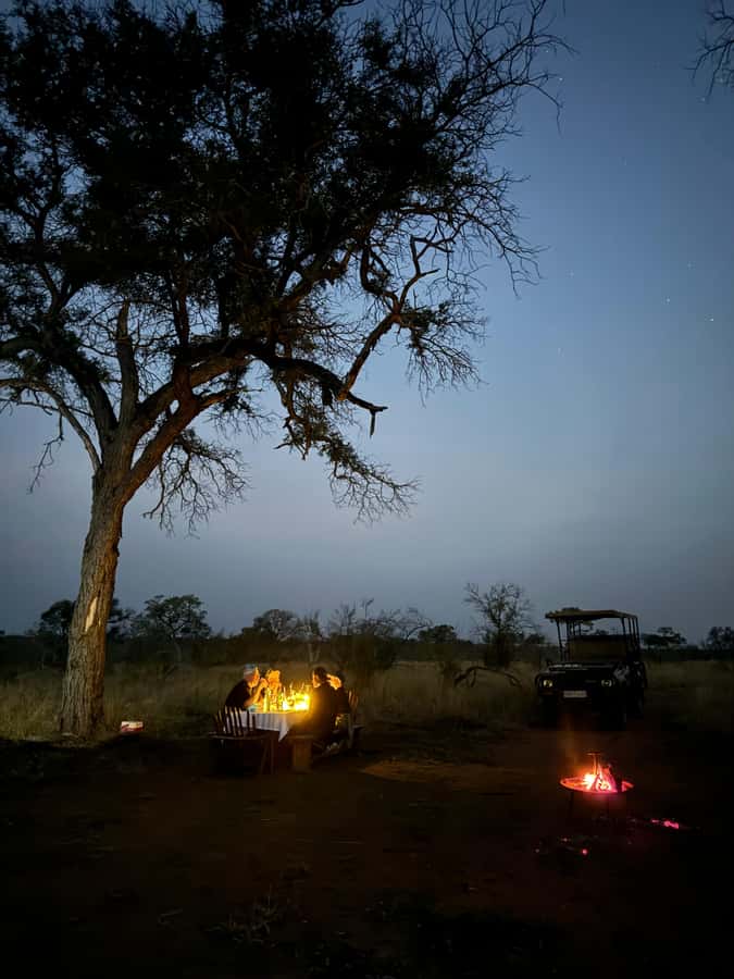 Hoedspruit: Dinner in the Bush & Safari Game Drive - Should you book the bush dinner and safari?
