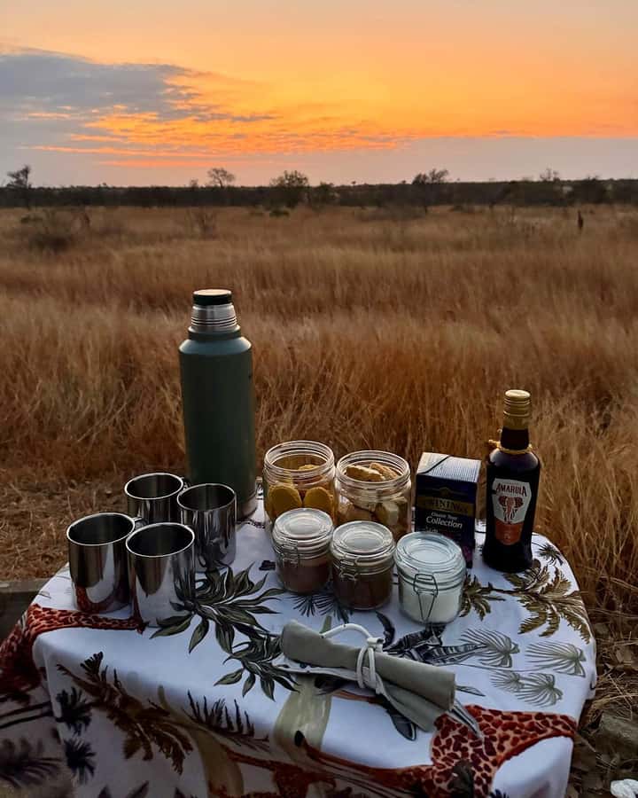 Hoedspruit: Full Day in ICONIC Kruger National Park - Key points to know before booking