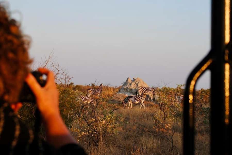 Hoedspruit: Full Day in ICONIC Kruger National Park - The first two hours inside Kruger