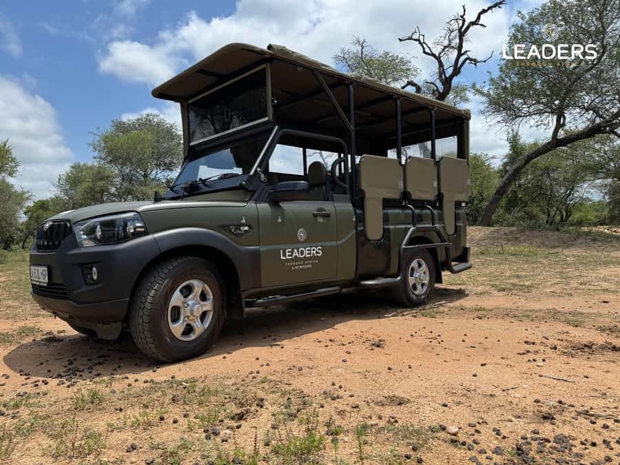 Hoedspruit: Private Kruger National Park Full-Day Safari - Key points at a glance