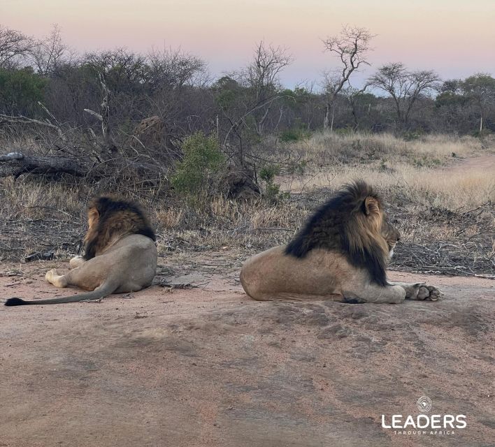 Hoedspruit: Private Kruger National Park Full-Day Safari - What to pack for an open vehicle