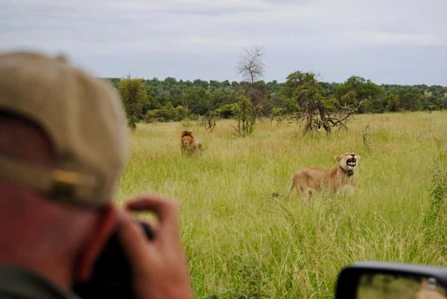 Hoedspruit: Sunrise Safari in Greater Kruger Private Reserve - Leaving Hoedspruit before the heat