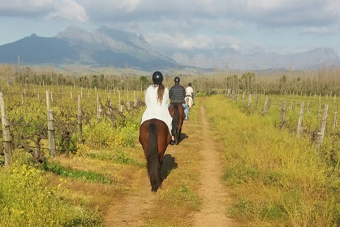 Horse Riding Wildlife Safari - Why horseback is a different way to see wildlife