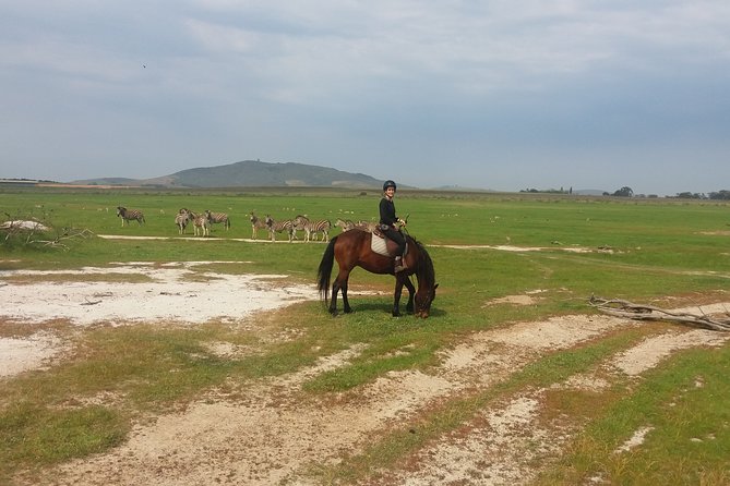 Horse Riding Wildlife Safari - How the price compares with other safari choices